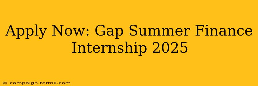 Apply Now: Gap Summer Finance Internship 2025