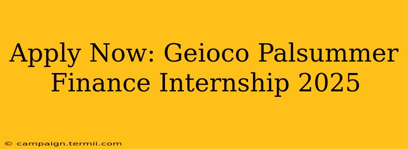 Apply Now: Geioco Palsummer Finance Internship 2025