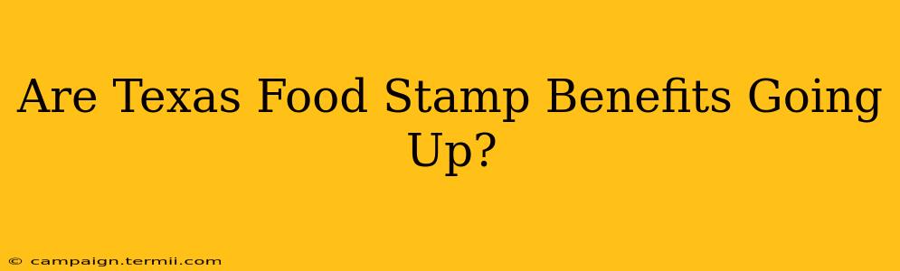 Are Texas Food Stamp Benefits Going Up?