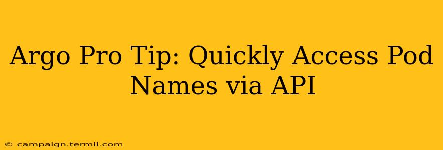 Argo Pro Tip: Quickly Access Pod Names via API