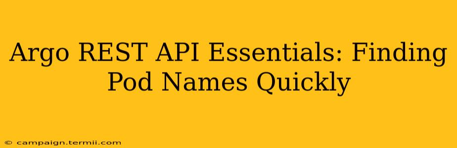 Argo REST API Essentials: Finding Pod Names Quickly