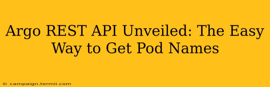 Argo REST API Unveiled: The Easy Way to Get Pod Names