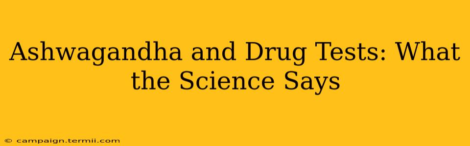 Ashwagandha and Drug Tests: What the Science Says