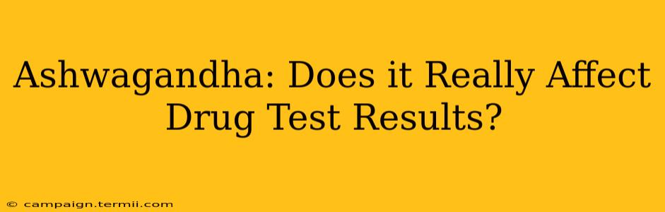 Ashwagandha: Does it Really Affect Drug Test Results?