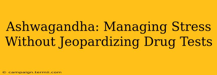 Ashwagandha: Managing Stress Without Jeopardizing Drug Tests