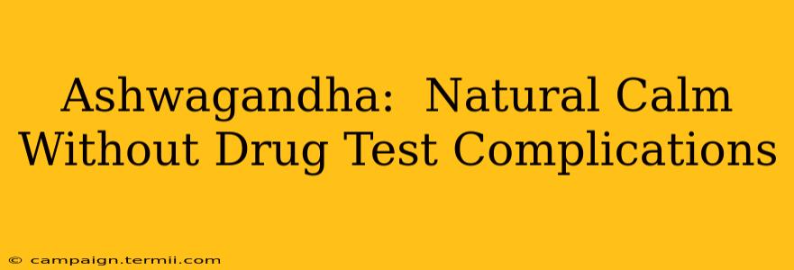 Ashwagandha:  Natural Calm Without Drug Test Complications