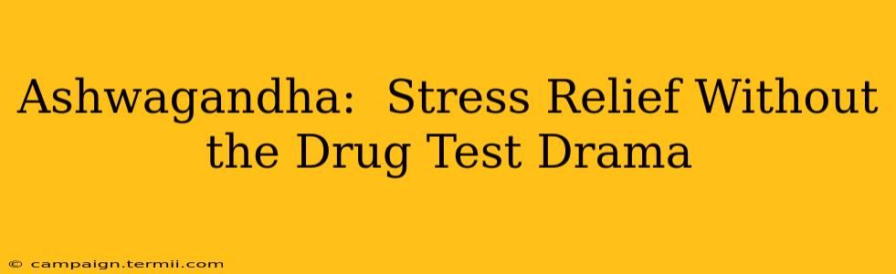 Ashwagandha:  Stress Relief Without the Drug Test Drama