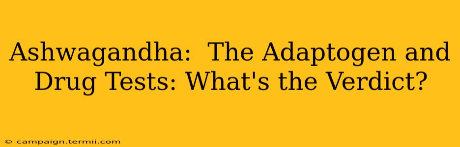 Ashwagandha:  The Adaptogen and Drug Tests: What's the Verdict?