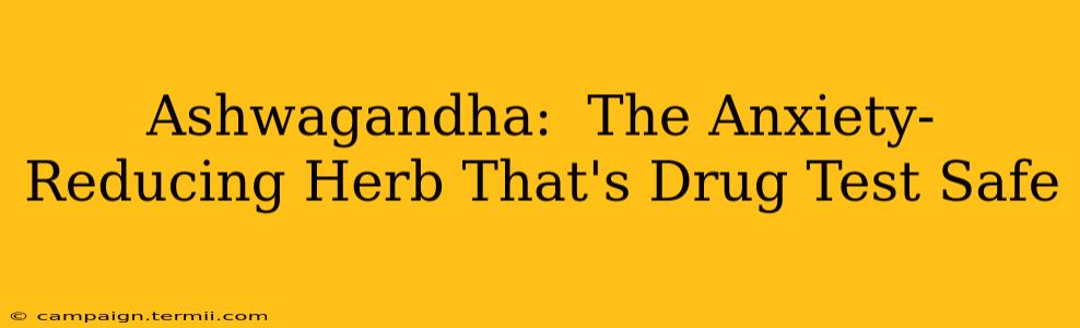 Ashwagandha:  The Anxiety-Reducing Herb That's Drug Test Safe