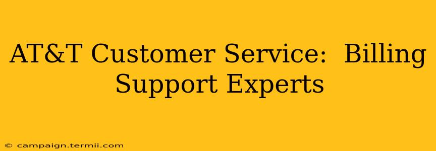 AT&T Customer Service:  Billing Support Experts