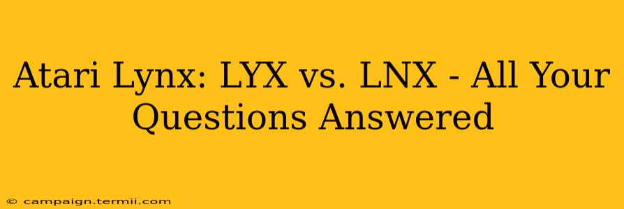 Atari Lynx: LYX vs. LNX - All Your Questions Answered