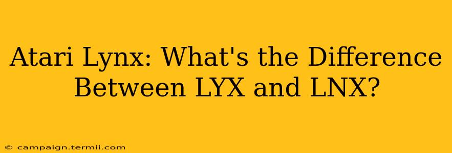 Atari Lynx: What's the Difference Between LYX and LNX?