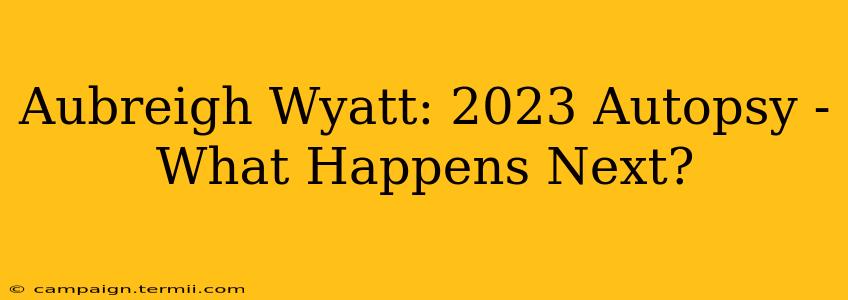 Aubreigh Wyatt: 2023 Autopsy - What Happens Next?