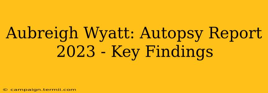 Aubreigh Wyatt: Autopsy Report 2023 - Key Findings