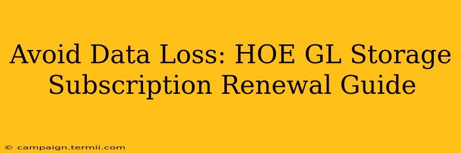 Avoid Data Loss: HOE GL Storage Subscription Renewal Guide