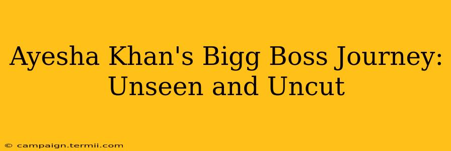 Ayesha Khan's Bigg Boss Journey: Unseen and Uncut