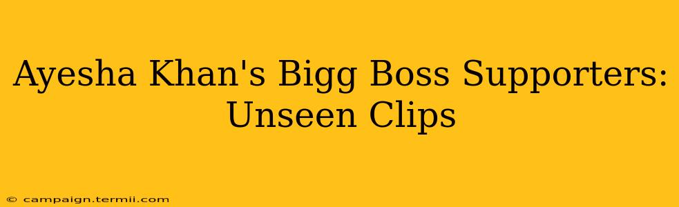 Ayesha Khan's Bigg Boss Supporters: Unseen Clips