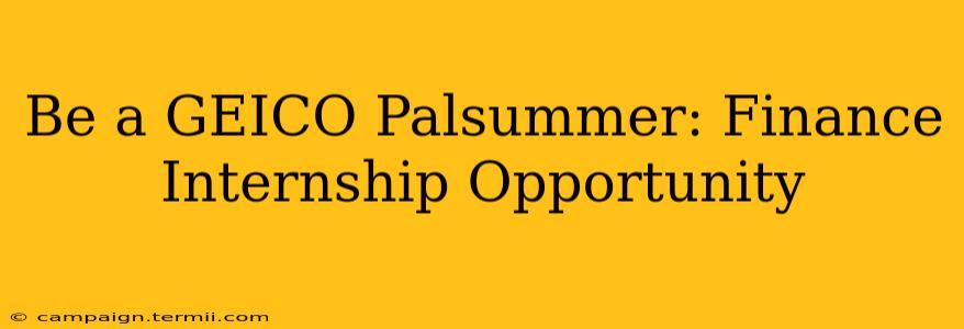 Be a GEICO Palsummer: Finance Internship Opportunity