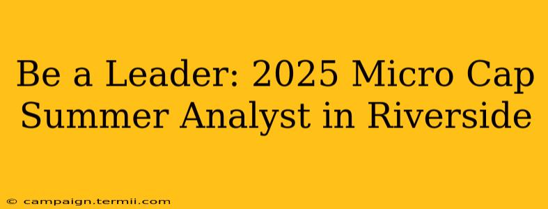 Be a Leader: 2025 Micro Cap Summer Analyst in Riverside