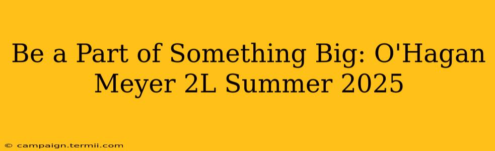 Be a Part of Something Big: O'Hagan Meyer 2L Summer 2025