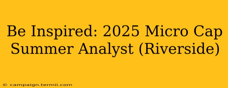 Be Inspired: 2025 Micro Cap Summer Analyst (Riverside)