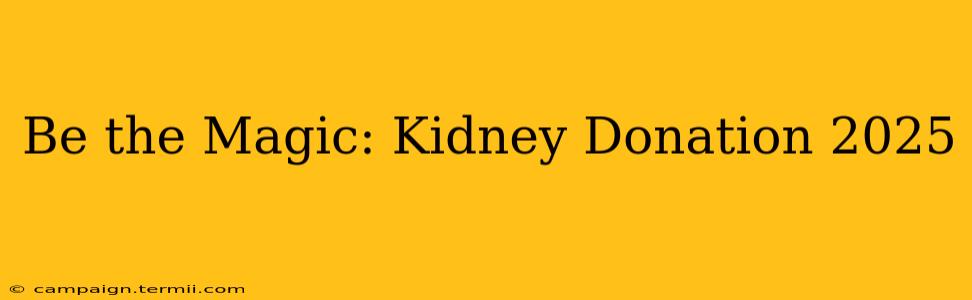 Be the Magic: Kidney Donation 2025