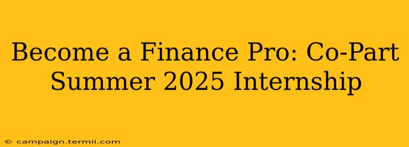 Become a Finance Pro: Co-Part Summer 2025 Internship