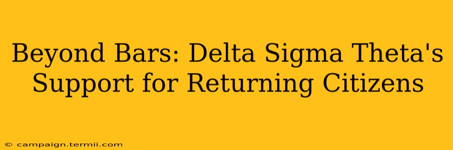 Beyond Bars: Delta Sigma Theta's Support for Returning Citizens