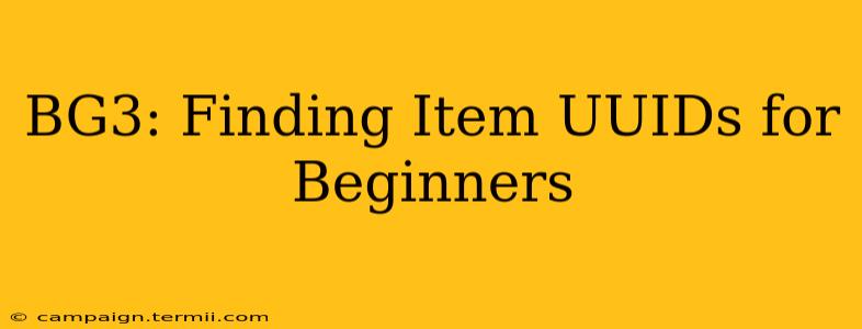 BG3: Finding Item UUIDs for Beginners