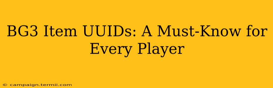 BG3 Item UUIDs: A Must-Know for Every Player