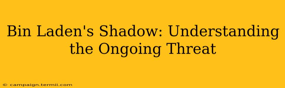 Bin Laden's Shadow: Understanding the Ongoing Threat