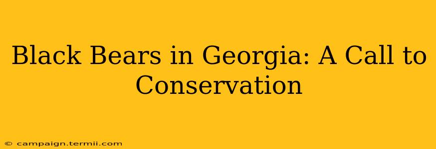 Black Bears in Georgia: A Call to Conservation