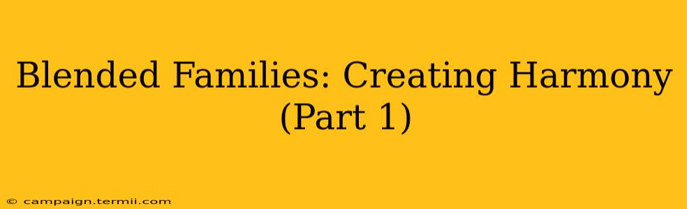 Blended Families: Creating Harmony (Part 1)