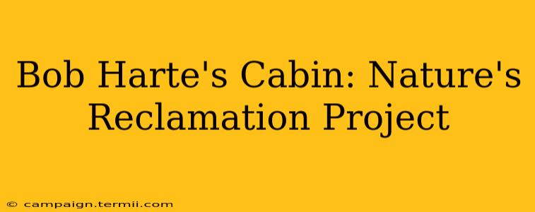 Bob Harte's Cabin: Nature's Reclamation Project