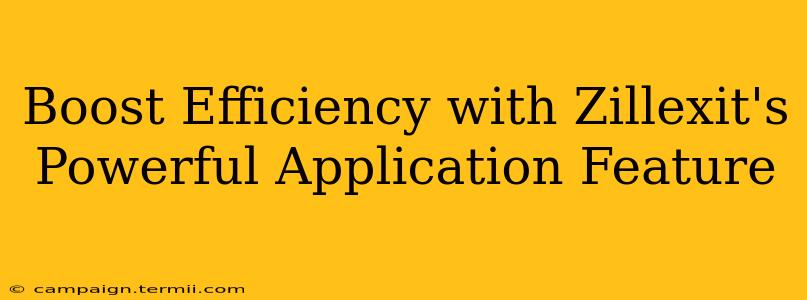 Boost Efficiency with Zillexit's Powerful Application Feature