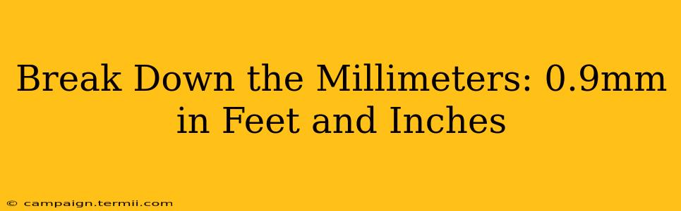 Break Down the Millimeters: 0.9mm in Feet and Inches