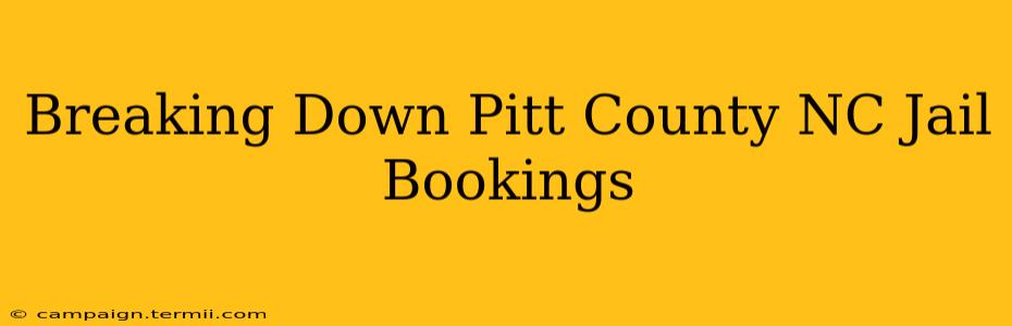 Breaking Down Pitt County NC Jail Bookings