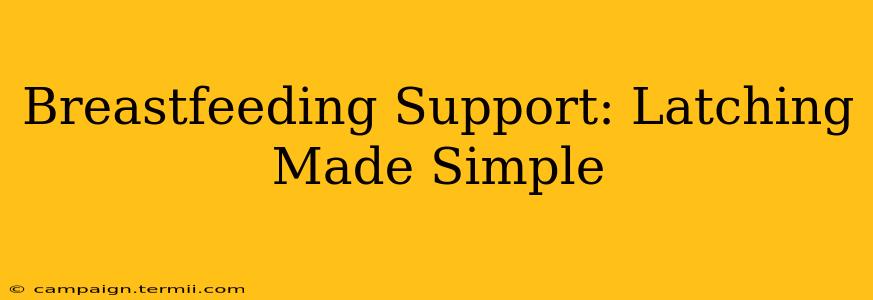 Breastfeeding Support: Latching Made Simple