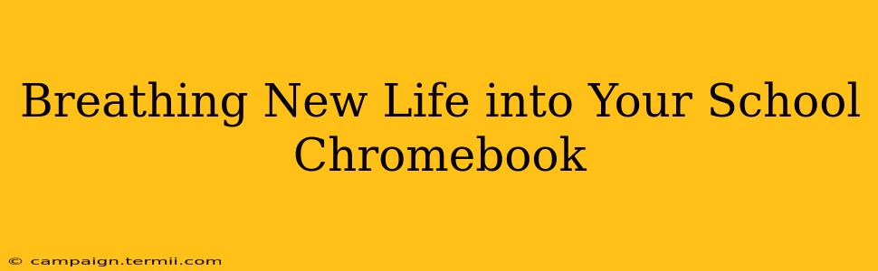 Breathing New Life into Your School Chromebook