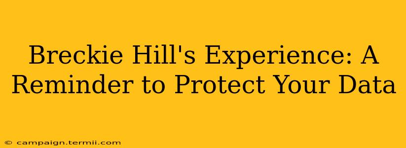 Breckie Hill's Experience: A Reminder to Protect Your Data