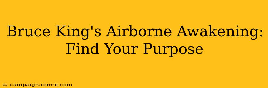 Bruce King's Airborne Awakening: Find Your Purpose