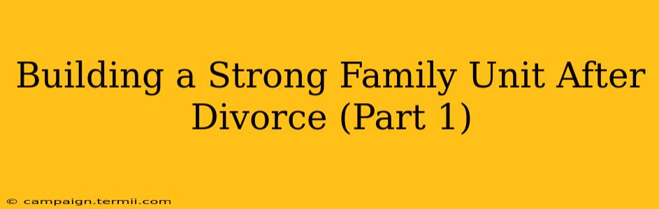 Building a Strong Family Unit After Divorce (Part 1)