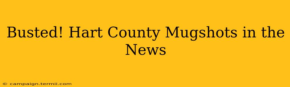 Busted! Hart County Mugshots in the News