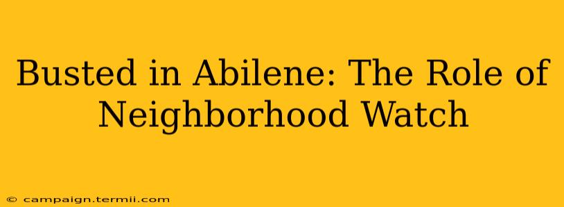 Busted in Abilene: The Role of Neighborhood Watch