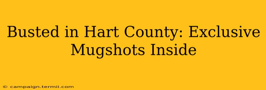 Busted in Hart County: Exclusive Mugshots Inside