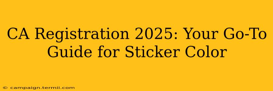 CA Registration 2025: Your Go-To Guide for Sticker Color