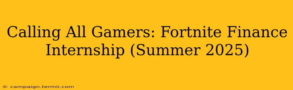 Calling All Gamers: Fortnite Finance Internship (Summer 2025)