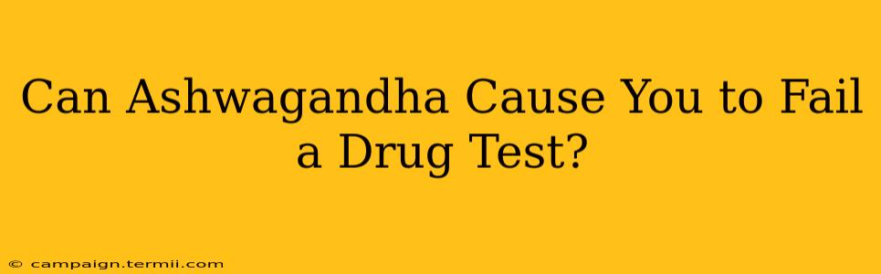 Can Ashwagandha Cause You to Fail a Drug Test?