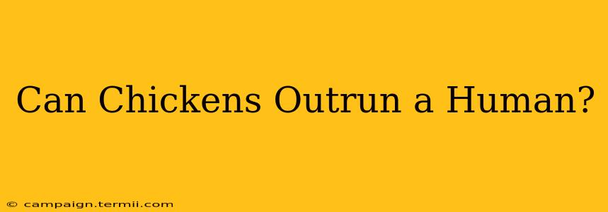 Can Chickens Outrun a Human?