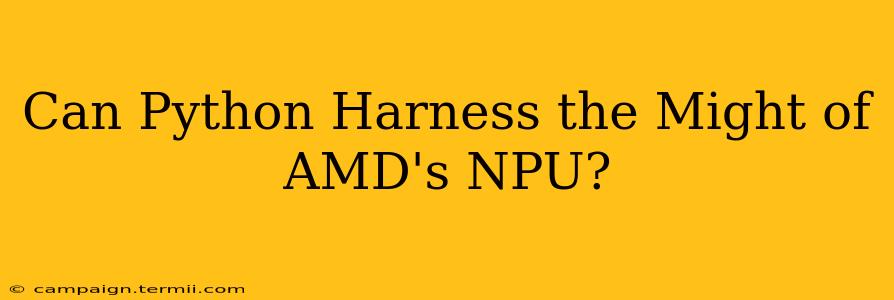 Can Python Harness the Might of AMD's NPU?